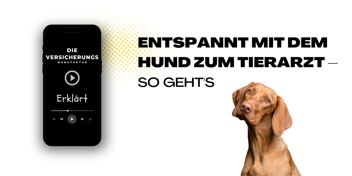 Video laden: 