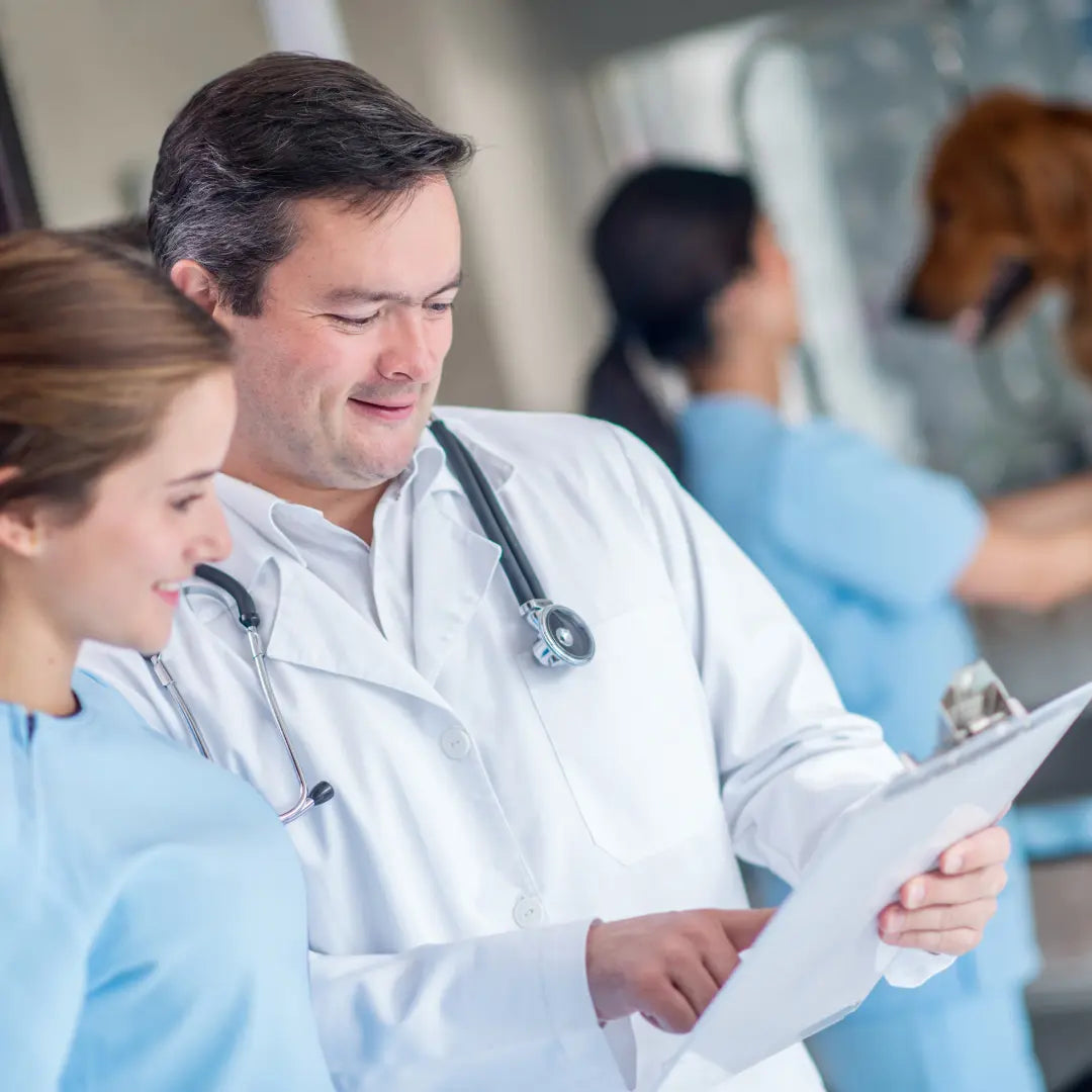 Hunde und Katzen Krankenversicherung 